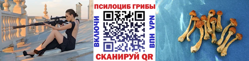 Псилоцибиновые грибы GOLDEN TEACHER  omg ССЫЛКА  Краснокаменск 