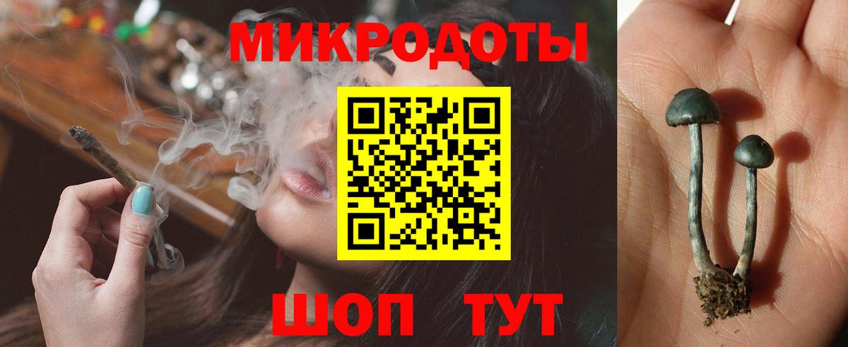 Псилоцибиновые грибы мухоморы Краснокаменск